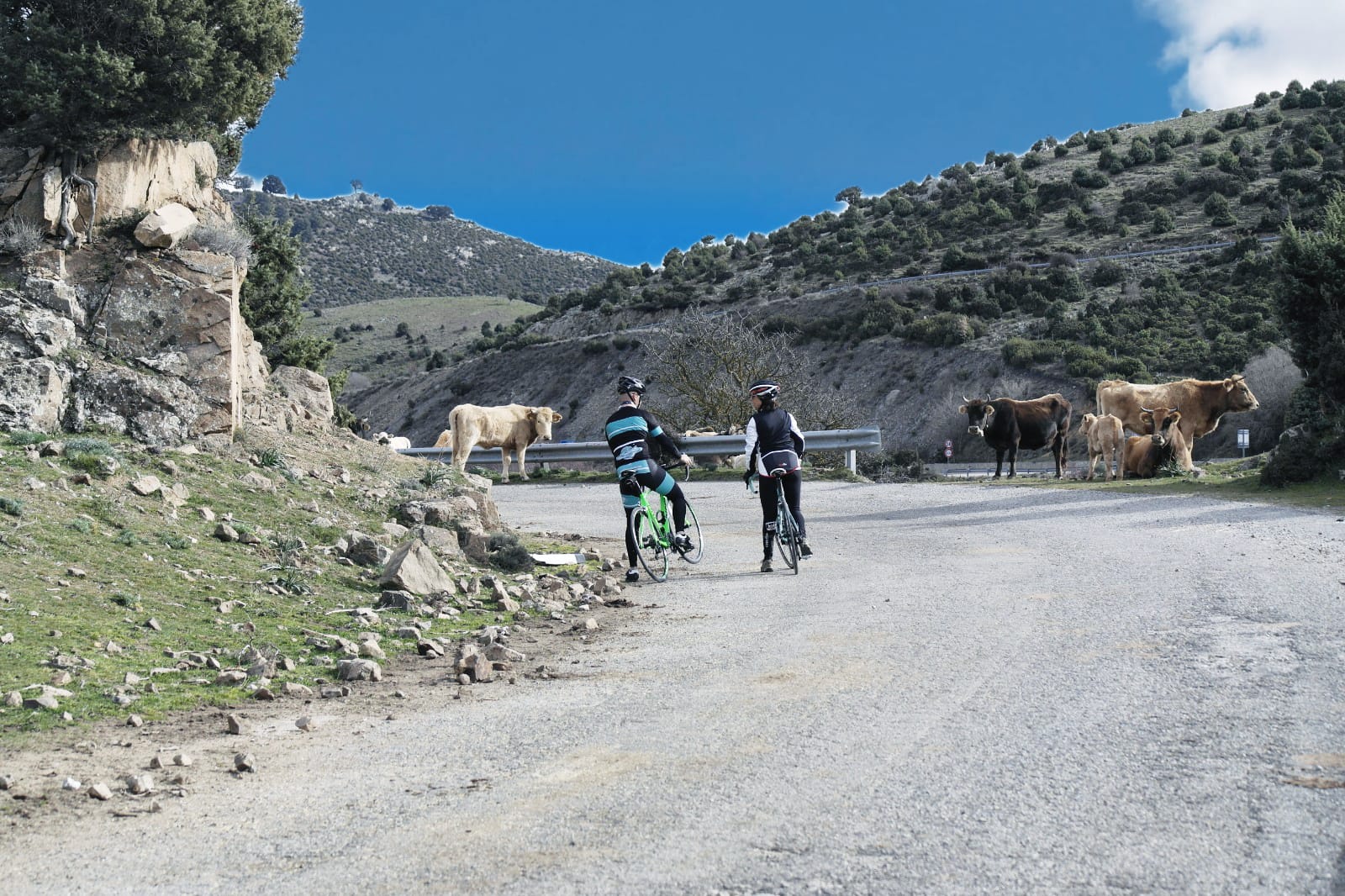 cycling-sardinia-gennargentu Cycling in Sardinia, Gennargentu area