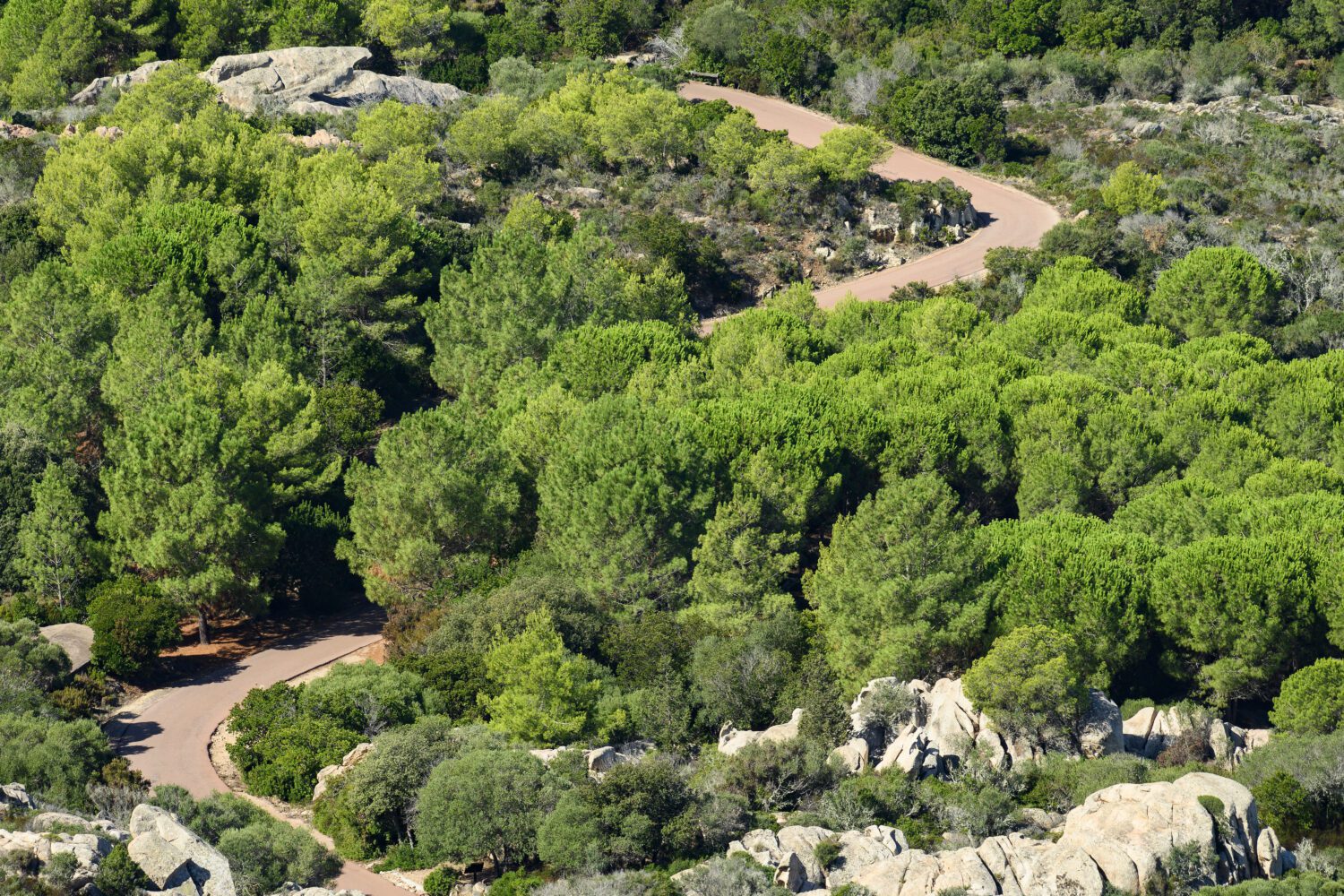 A road in the wild island of Caprera