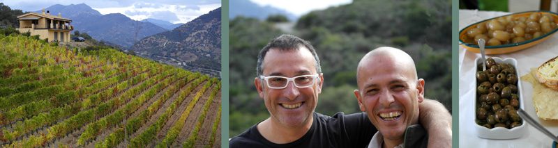 Moreno vineyard