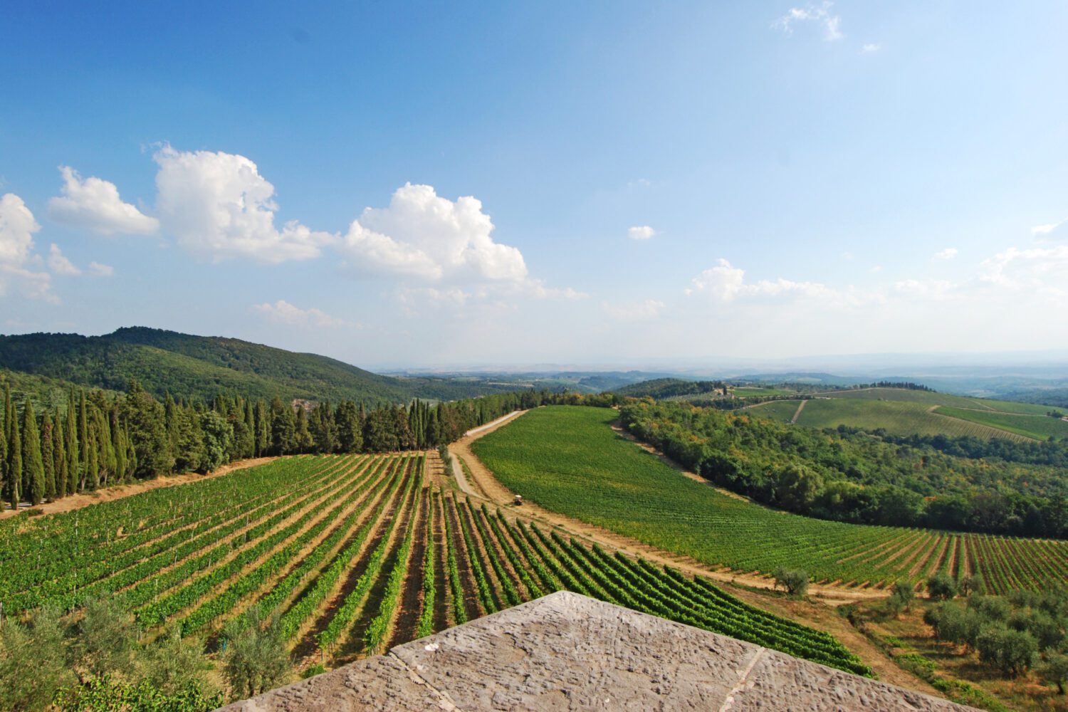 Gaiole in Chianti during a bike tour in Tuscany, Italy - View from the castle over the vineyards and olive groves