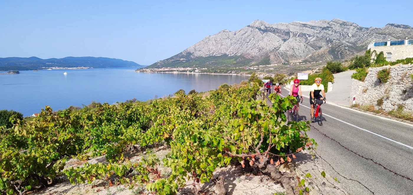 Cycling through Croatia vineyards